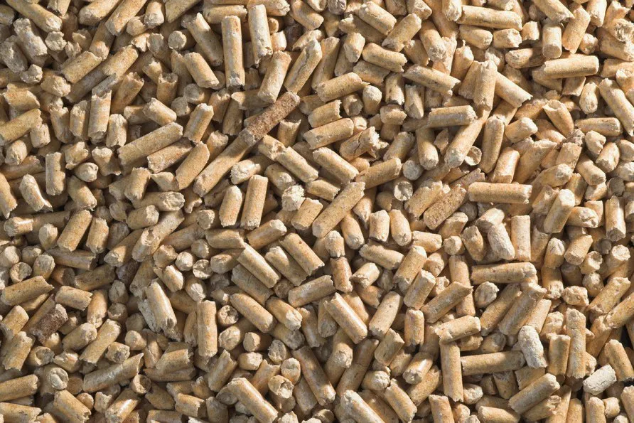 Biomass Pellets